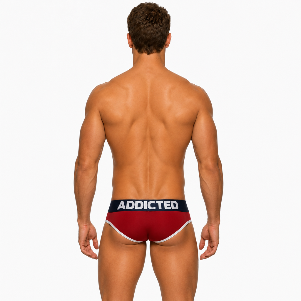 BASIC BRIEF