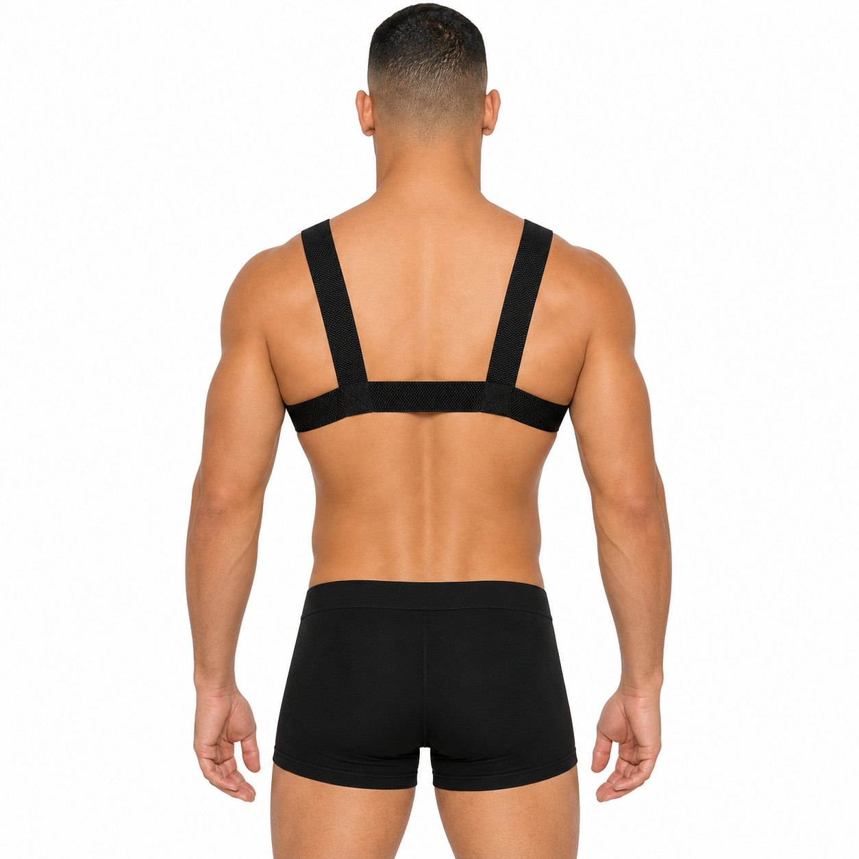 Addicted Party Metal Harness