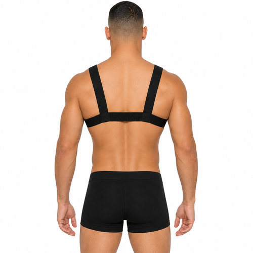 Addicted Party Metal Harness