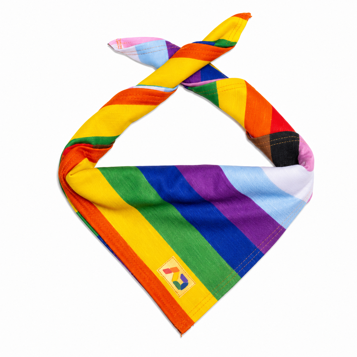 INCLUSIVE RAINBOW SCARF