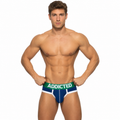 BASIC BRIEF