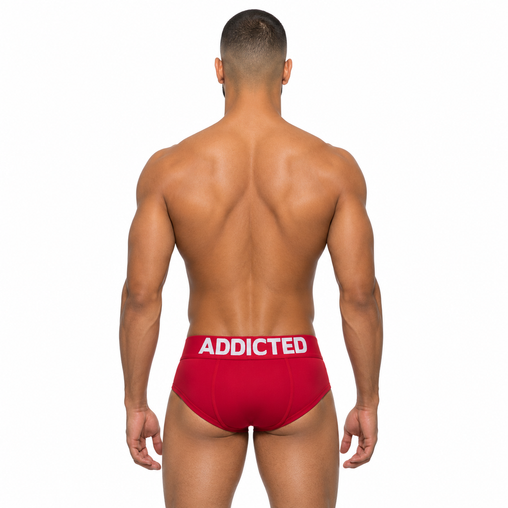 MY BASIC BRIEF